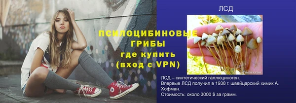меф Няндома