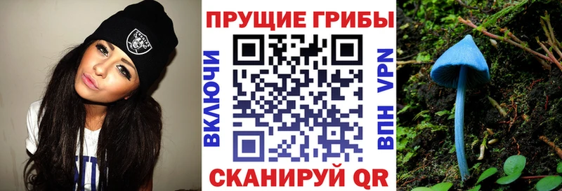 Галлюциногенные грибы ЛСД  Рузаевка 