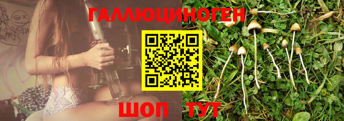 Псилоцибиновые грибы GOLDEN TEACHER Рузаевка