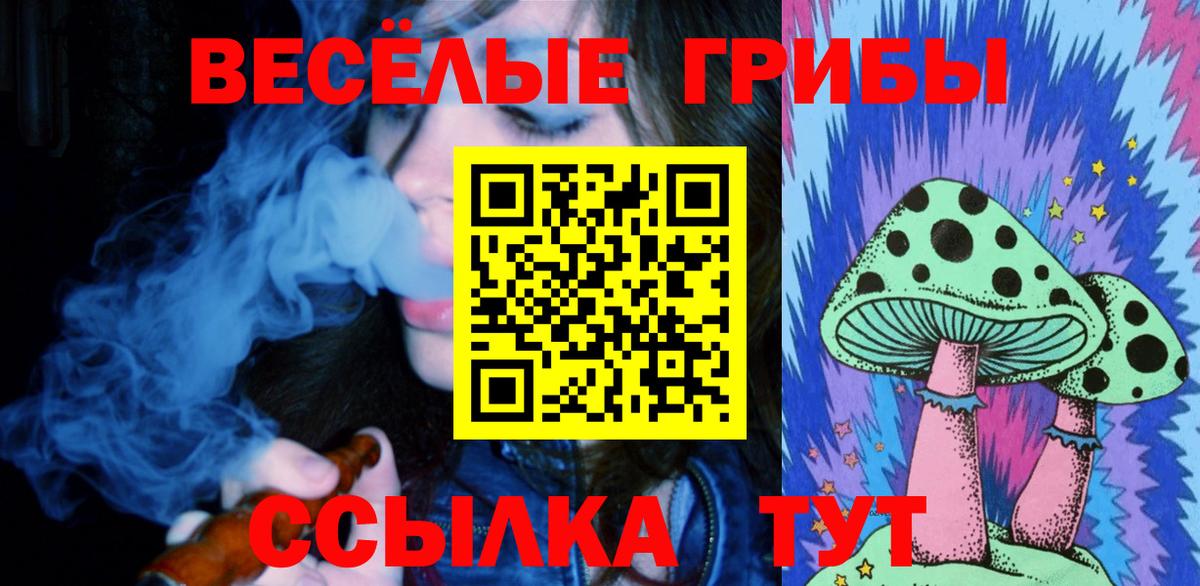 наркота  Рузаевка  Галлюциногенные грибы MAGIC MUSHROOMS  Галлюциногенные грибы прущие грибы 