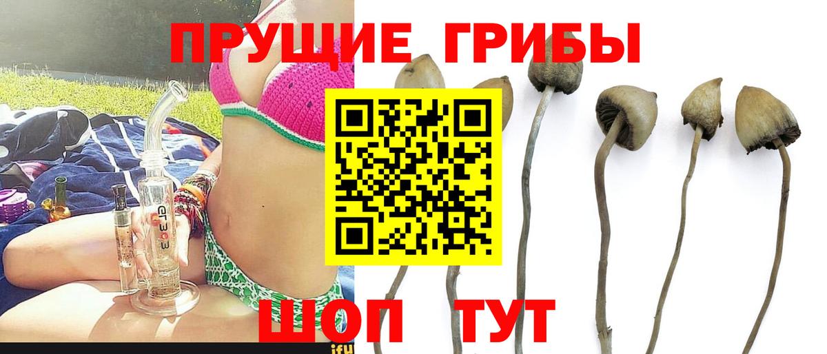 Псилоцибиновые грибы ЛСД Рузаевка
