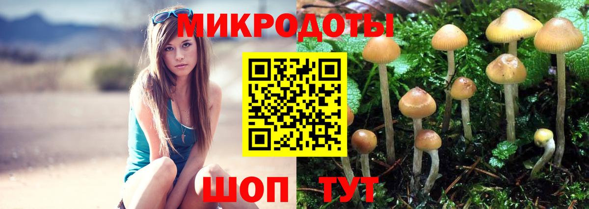 Галлюциногенные грибы GOLDEN TEACHER  Вход с VPN  Рузаевка 