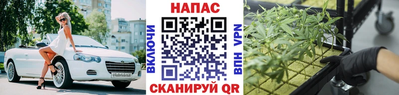 Каннабис гибрид  закладка  Рузаевка 